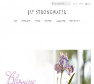 Jay Strongwater