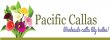 pacificcallas Coupons